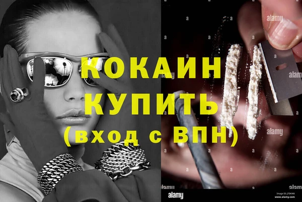 мяу мяу мука Ростов