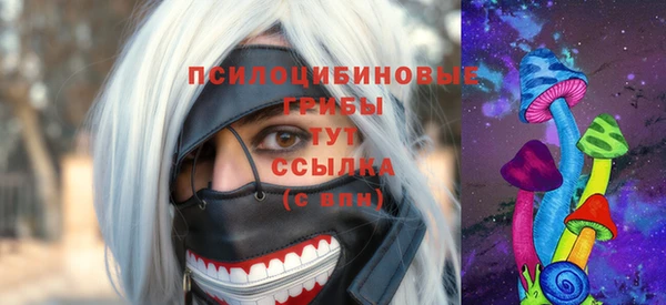 apvp Ступино