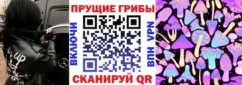 Галлюциногенные грибы Cubensis  Калачинск 
